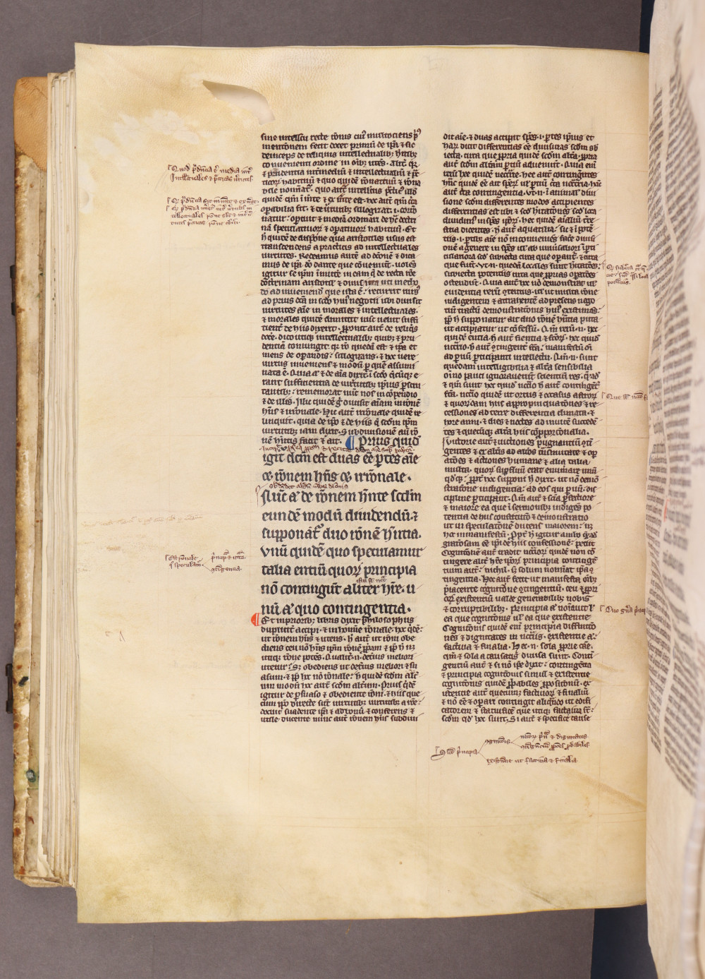 Folio 117 verso